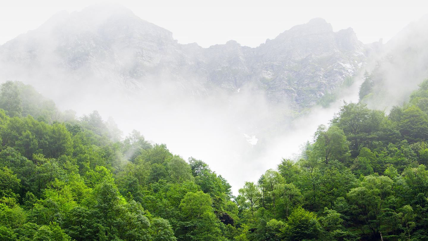 Sustainability targets visualization